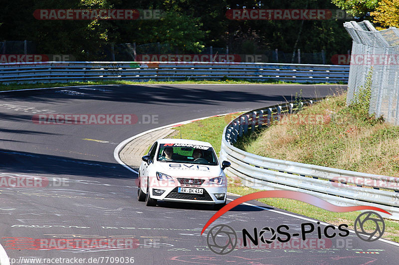 Bild #7709036 - Touristenfahrten Nürburgring Nordschleife (13.10.2019)