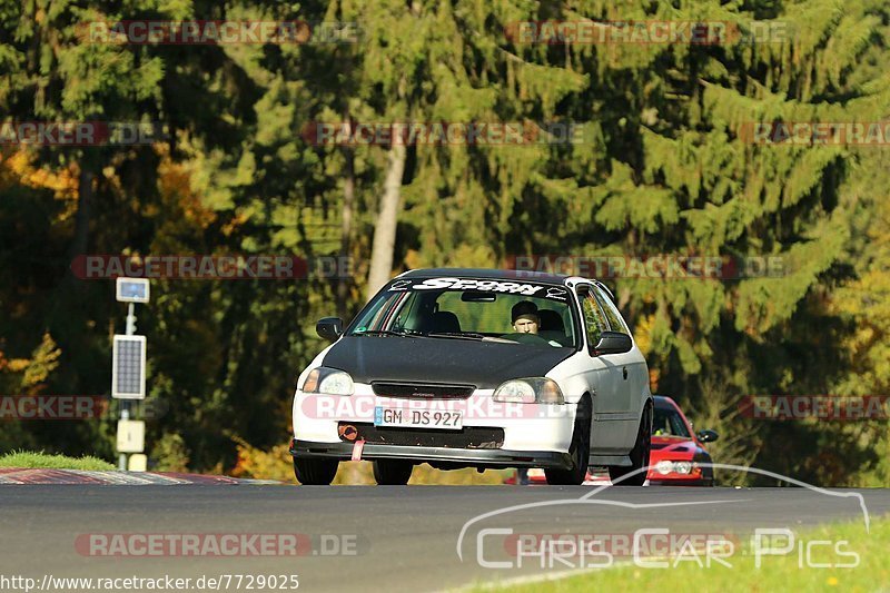 Bild #7729025 - Touristenfahrten Nürburgring Nordschleife (13.10.2019)