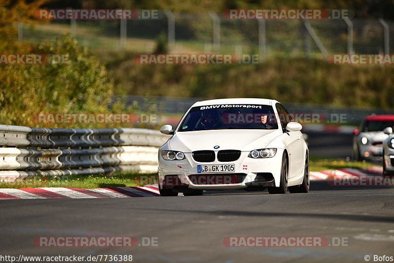 Bild #7736388 - Touristenfahrten Nürburgring Nordschleife (13.10.2019)