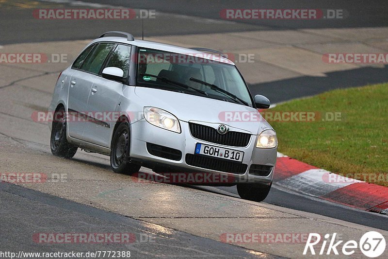 Bild #7772388 - Touristenfahrten Nürburgring Nordschleife (01.11.2019)