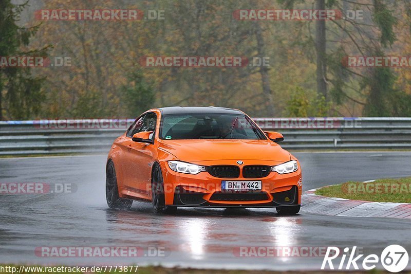 Bild #7773877 - Touristenfahrten Nürburgring Nordschleife (01.11.2019)