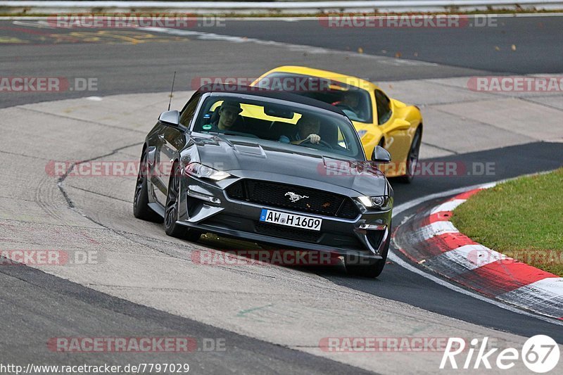 Bild #7797029 - Touristenfahrten Nürburgring Nordschleife (02.11.2019)