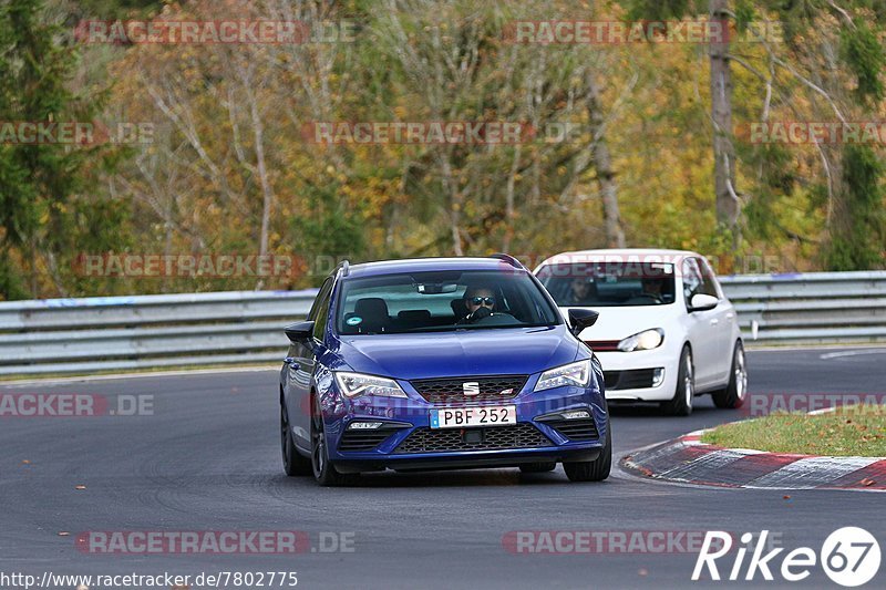 Bild #7802775 - Touristenfahrten Nürburgring Nordschleife (02.11.2019)