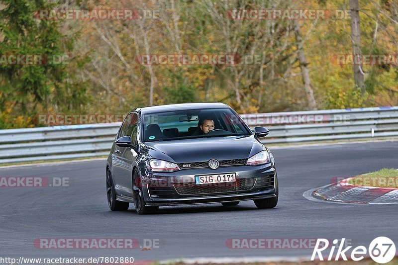 Bild #7802880 - Touristenfahrten Nürburgring Nordschleife (02.11.2019)