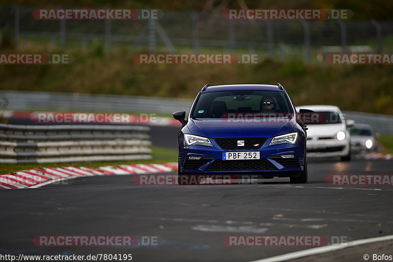 Bild #7804195 - Touristenfahrten Nürburgring Nordschleife (02.11.2019)