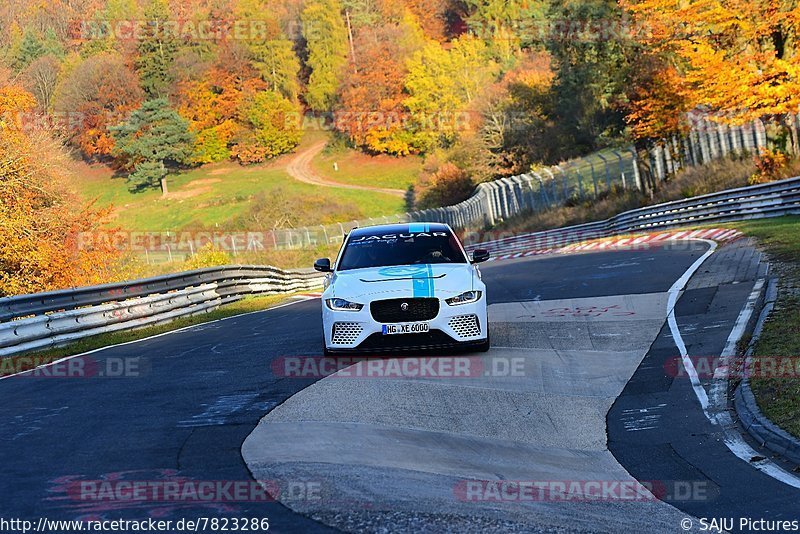 Bild #7823286 - Touristenfahrten Nürburgring Nordschleife (09.11.2019)