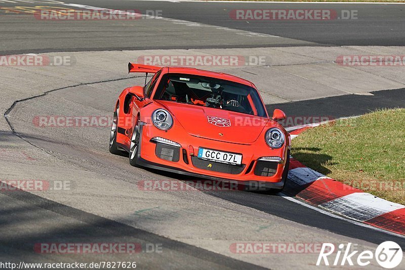 Bild #7827626 - Touristenfahrten Nürburgring Nordschleife (16.11.2019)