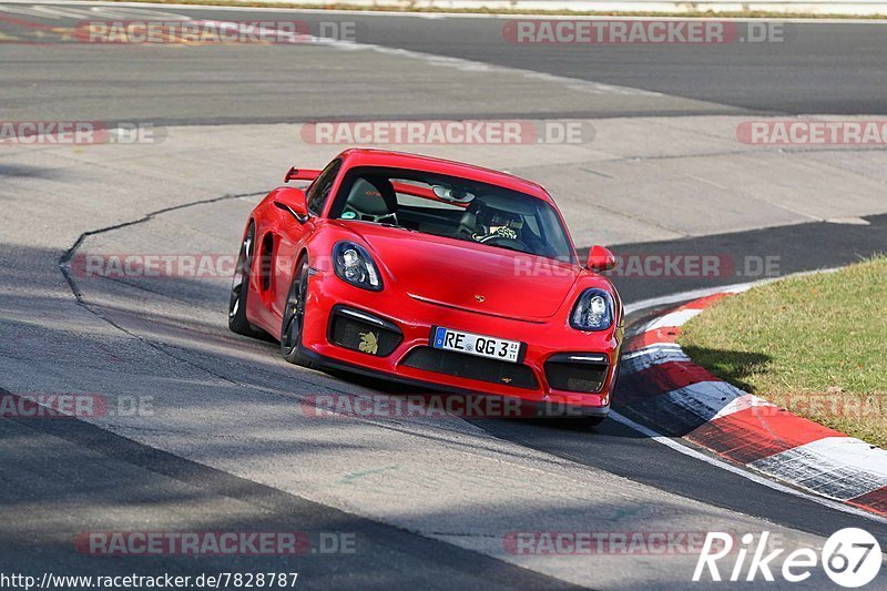 Bild #7828787 - Touristenfahrten Nürburgring Nordschleife (16.11.2019)