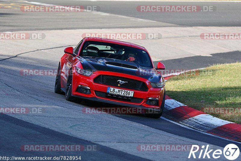 Bild #7828954 - Touristenfahrten Nürburgring Nordschleife (16.11.2019)