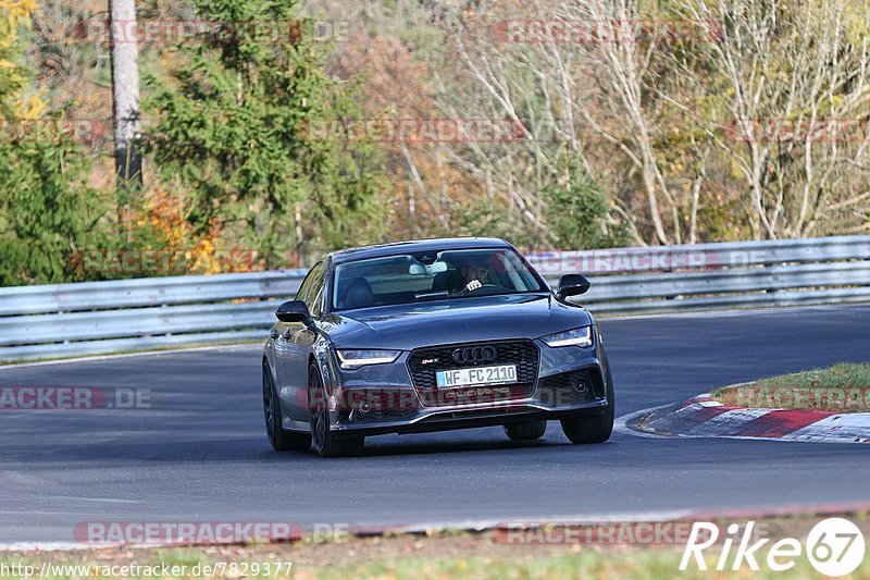 Bild #7829377 - Touristenfahrten Nürburgring Nordschleife (16.11.2019)