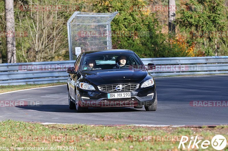 Bild #7829491 - Touristenfahrten Nürburgring Nordschleife (16.11.2019)