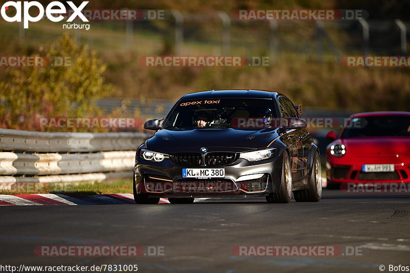 Bild #7831005 - Touristenfahrten Nürburgring Nordschleife (16.11.2019)