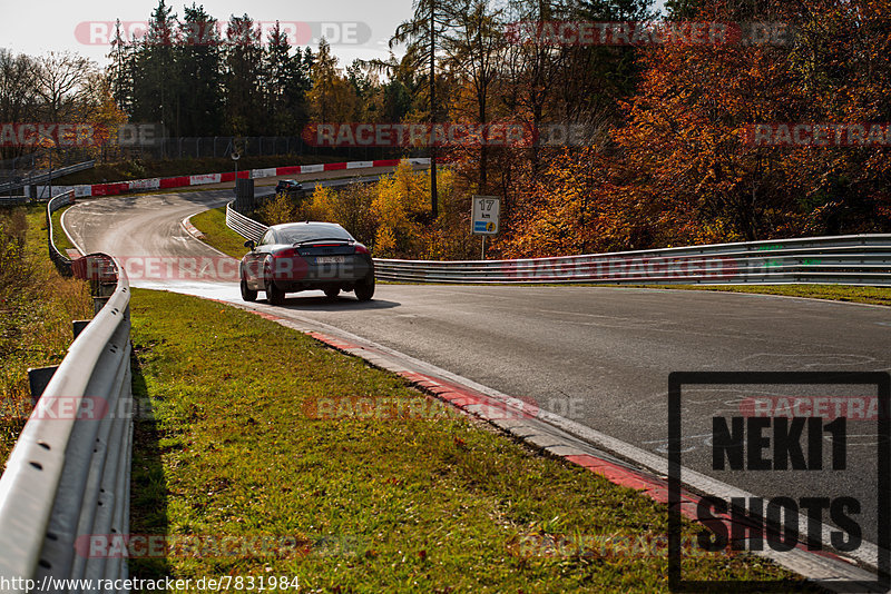 Bild #7831984 - Touristenfahrten Nürburgring Nordschleife (16.11.2019)