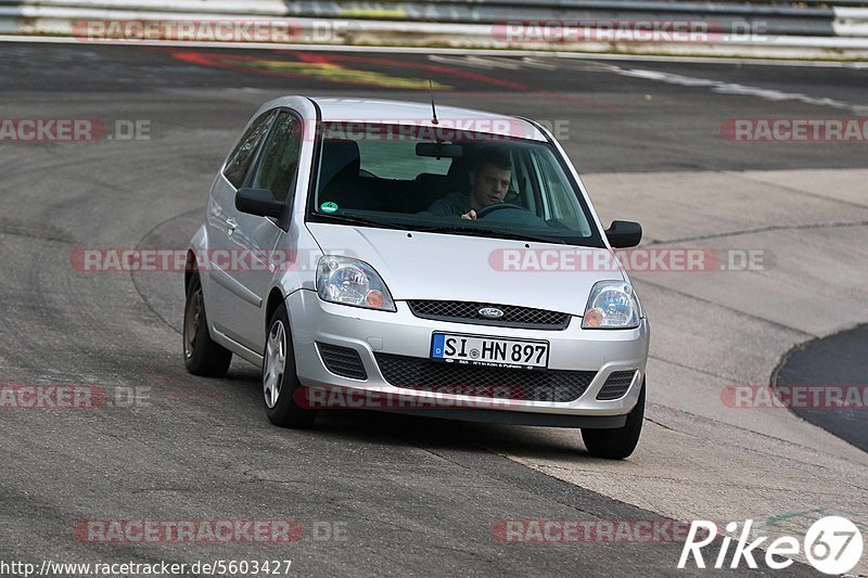 Bild #5603427 - Touristenfahrten Nürburgring Nordschleife (09.03.2019}