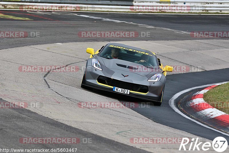 Bild #5603467 - Touristenfahrten Nürburgring Nordschleife (09.03.2019}