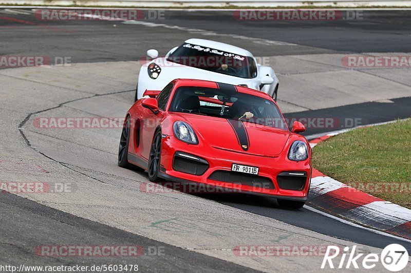 Bild #5603478 - Touristenfahrten Nürburgring Nordschleife (09.03.2019}