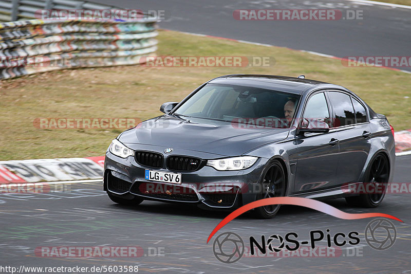 Bild #5603588 - Touristenfahrten Nürburgring Nordschleife (09.03.2019}