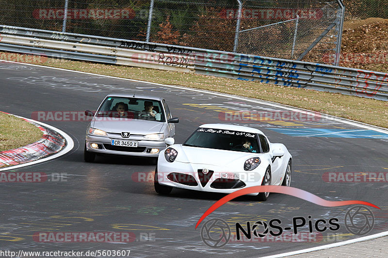 Bild #5603607 - Touristenfahrten Nürburgring Nordschleife (09.03.2019}