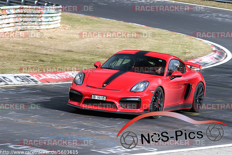 Bild #5603615 - Touristenfahrten Nürburgring Nordschleife (09.03.2019}