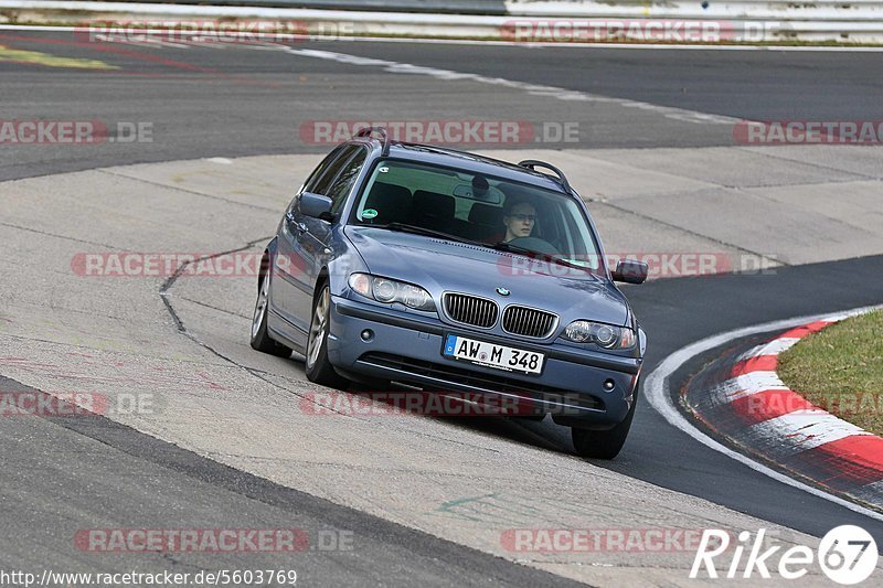 Bild #5603769 - Touristenfahrten Nürburgring Nordschleife (09.03.2019}