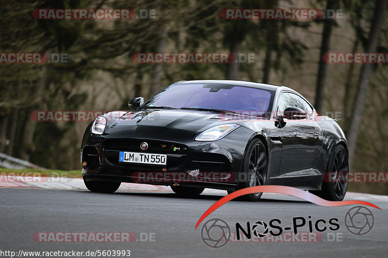 Bild #5603993 - Touristenfahrten Nürburgring Nordschleife (09.03.2019}