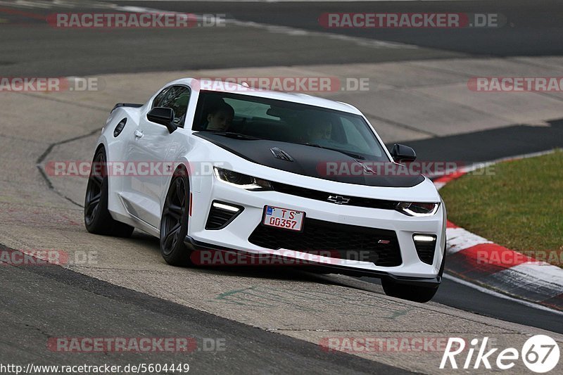 Bild #5604449 - Touristenfahrten Nürburgring Nordschleife (09.03.2019}