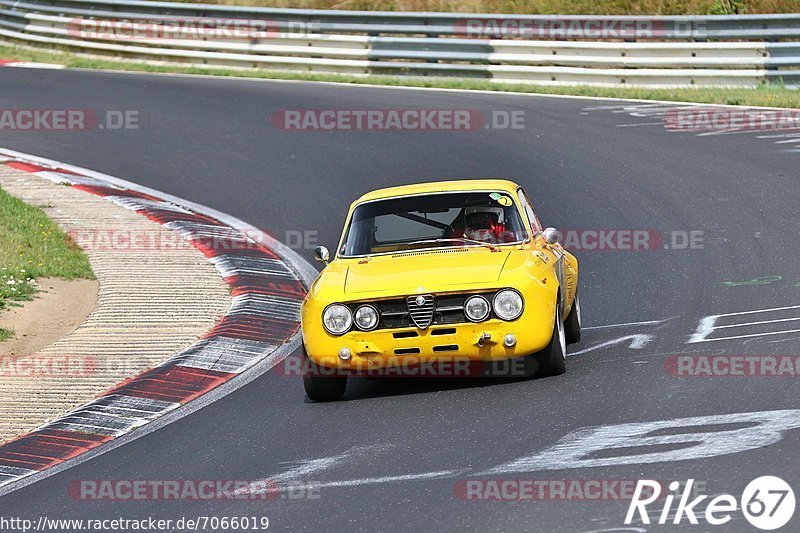 Bild #7066019 - AvD Oldtimer GP Trackday Nordschleife (09.08.2019)