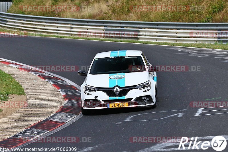 Bild #7066309 - AvD Oldtimer GP Trackday Nordschleife (09.08.2019)