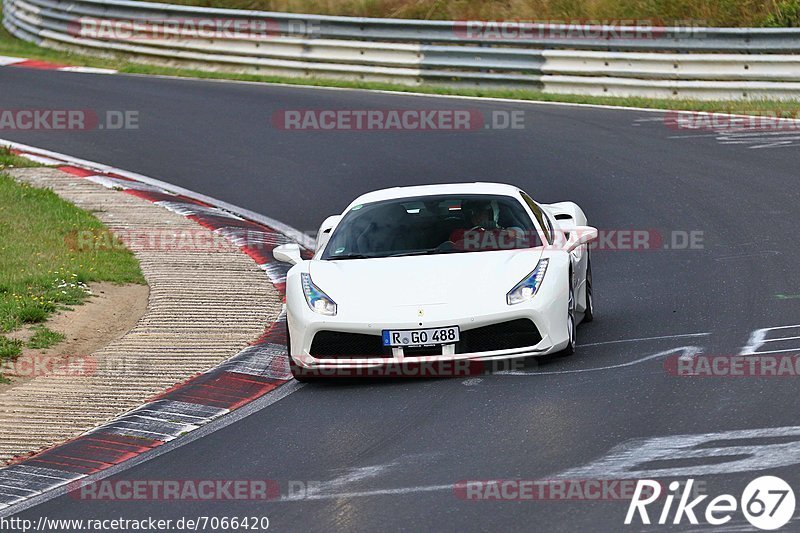 Bild #7066420 - AvD Oldtimer GP Trackday Nordschleife (09.08.2019)