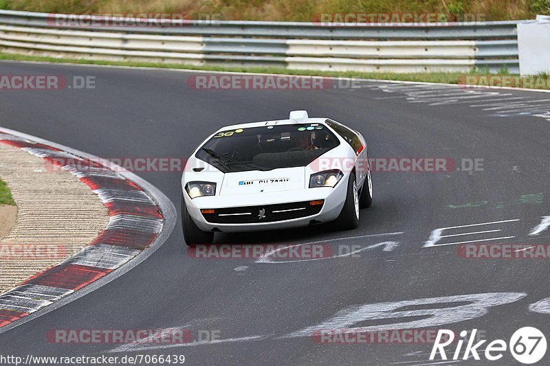 Bild #7066439 - AvD Oldtimer GP Trackday Nordschleife (09.08.2019)