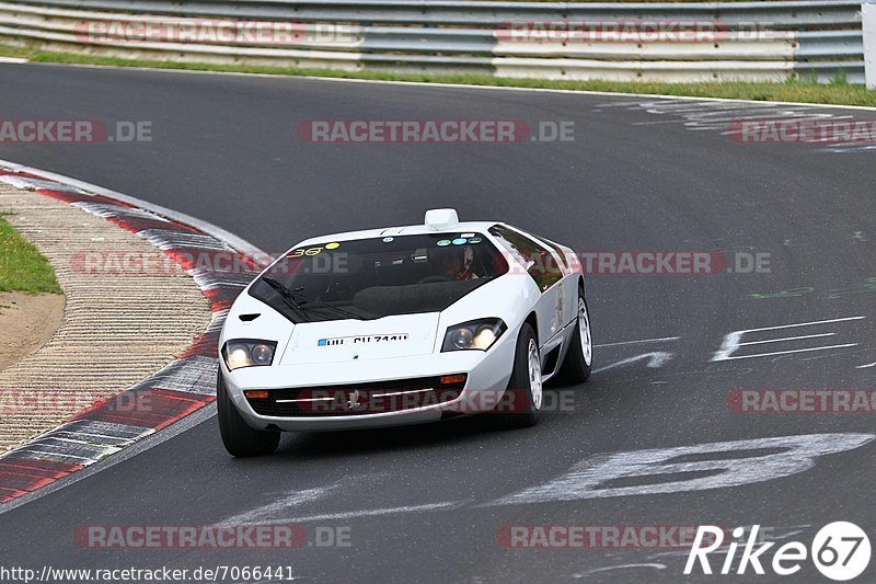 Bild #7066441 - AvD Oldtimer GP Trackday Nordschleife (09.08.2019)