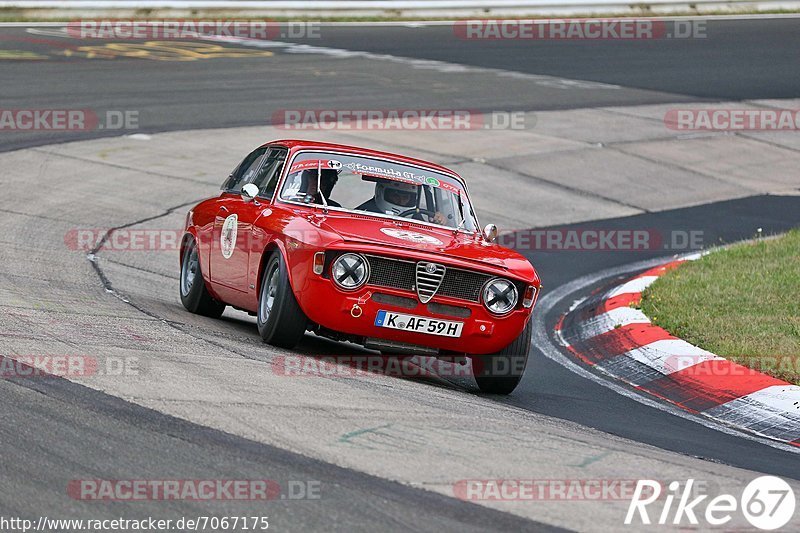 Bild #7067175 - AvD Oldtimer GP Trackday Nordschleife (09.08.2019)