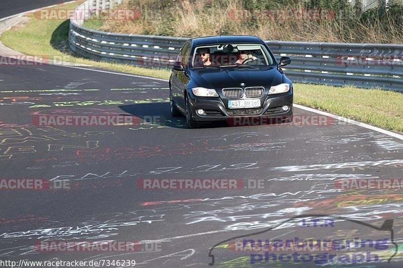 Bild #7346239 - Touristenfahrten Nürburgring Nordschleife (31.08.2019)