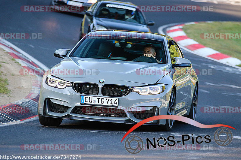 Bild #7347274 - Touristenfahrten Nürburgring Nordschleife (31.08.2019)