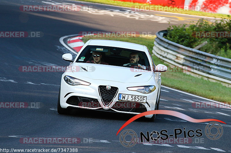 Bild #7347388 - Touristenfahrten Nürburgring Nordschleife (31.08.2019)