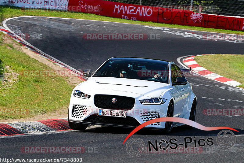 Bild #7348803 - Touristenfahrten Nürburgring Nordschleife (31.08.2019)