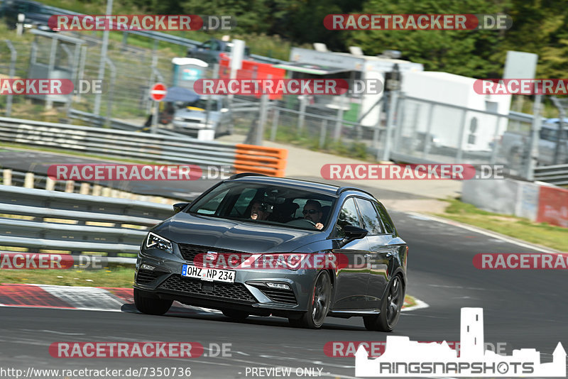 Bild #7350736 - Touristenfahrten Nürburgring Nordschleife (31.08.2019)