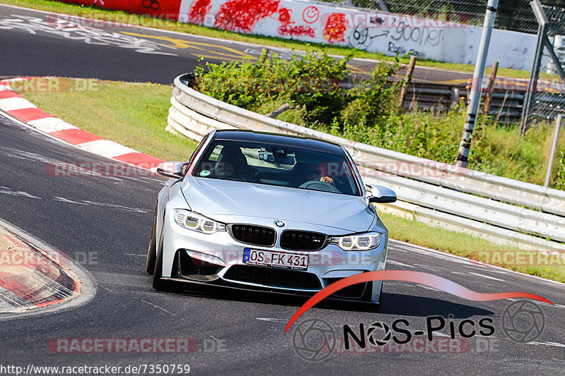 Bild #7350759 - Touristenfahrten Nürburgring Nordschleife (31.08.2019)