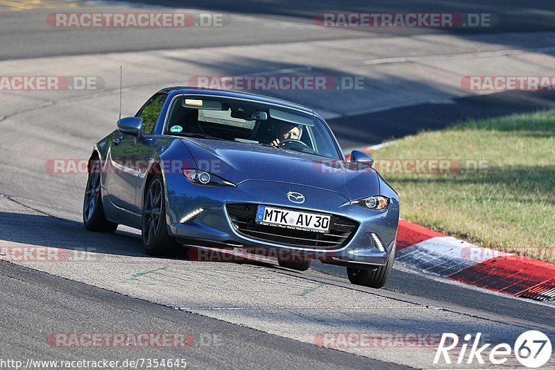 Bild #7354645 - Touristenfahrten Nürburgring Nordschleife (31.08.2019)