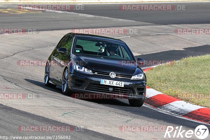 Bild #7356082 - Touristenfahrten Nürburgring Nordschleife (31.08.2019)