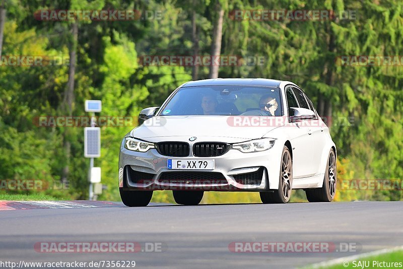 Bild #7356229 - Touristenfahrten Nürburgring Nordschleife (31.08.2019)