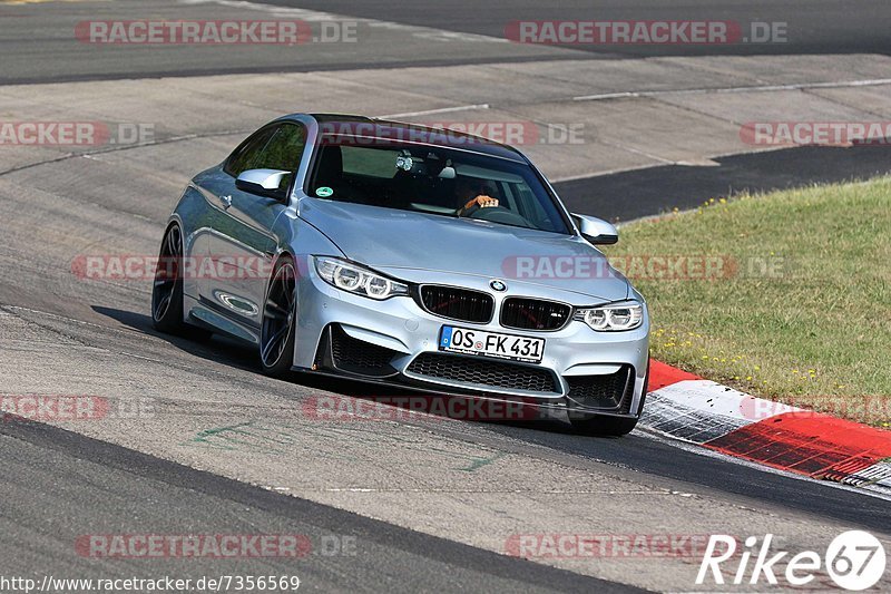 Bild #7356569 - Touristenfahrten Nürburgring Nordschleife (31.08.2019)