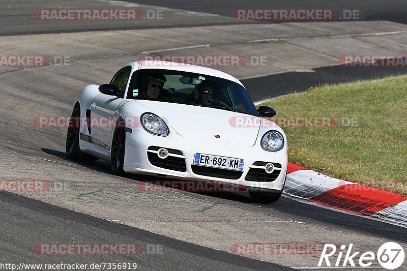 Bild #7356919 - Touristenfahrten Nürburgring Nordschleife (31.08.2019)