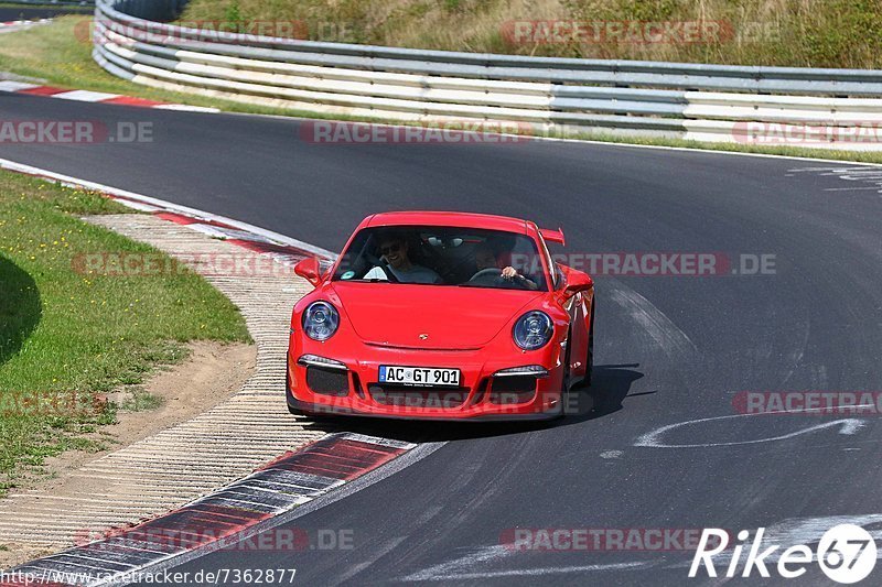 Bild #7362877 - Touristenfahrten Nürburgring Nordschleife (31.08.2019)