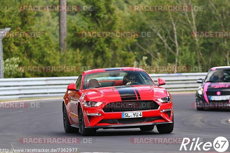 Bild #7362977 - Touristenfahrten Nürburgring Nordschleife (31.08.2019)