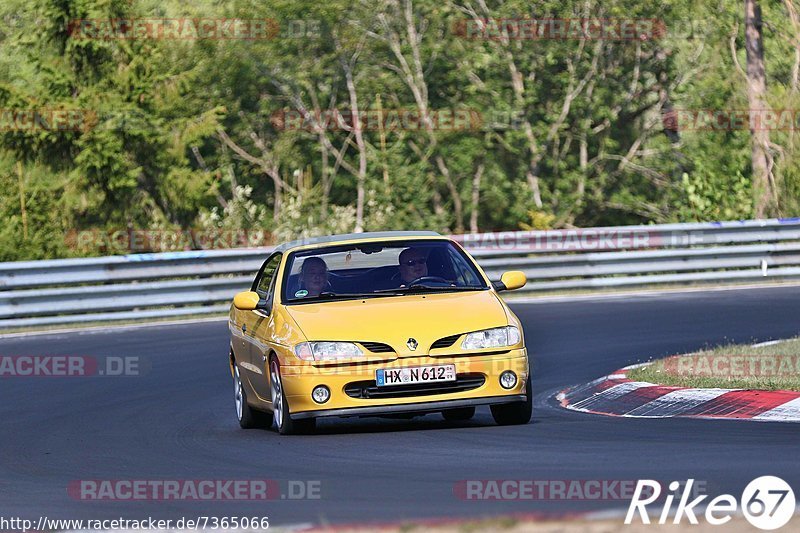 Bild #7365066 - Touristenfahrten Nürburgring Nordschleife (31.08.2019)