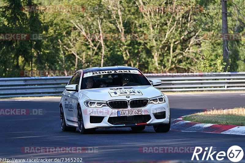 Bild #7365202 - Touristenfahrten Nürburgring Nordschleife (31.08.2019)