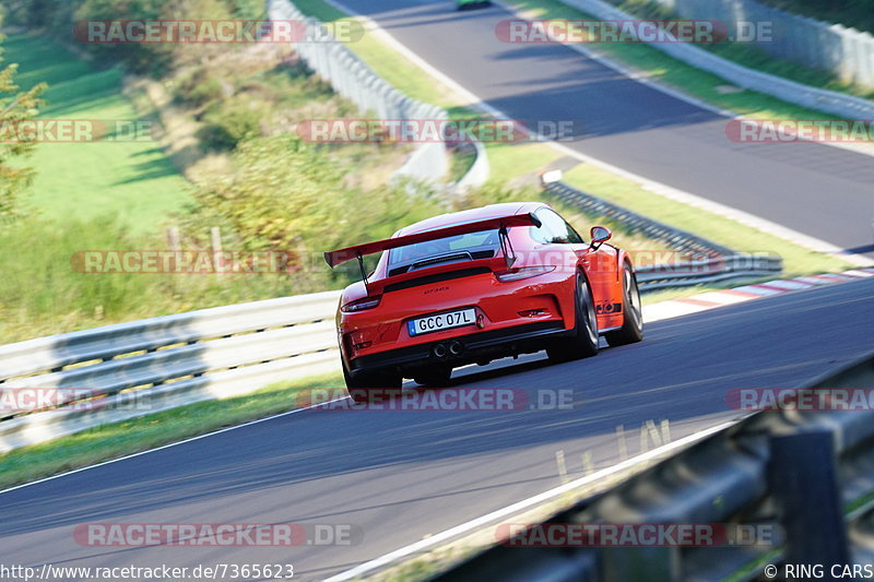 Bild #7365623 - Touristenfahrten Nürburgring Nordschleife (31.08.2019)