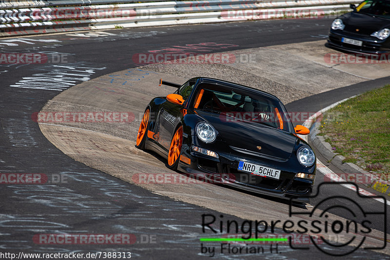 Bild #7388313 - Touristenfahrten Nürburgring Nordschleife (31.08.2019)