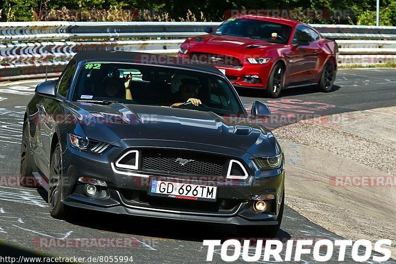 Bild #8055994 - Touristenfahrten Nürburgring Nordschleife (31.08.2019)